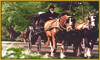 Horse and buggy rides through the Village of Pinehurst, days gone by live again in Pinehurst.